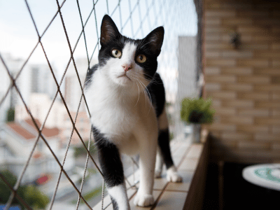 Pet / Cat Safety Nets